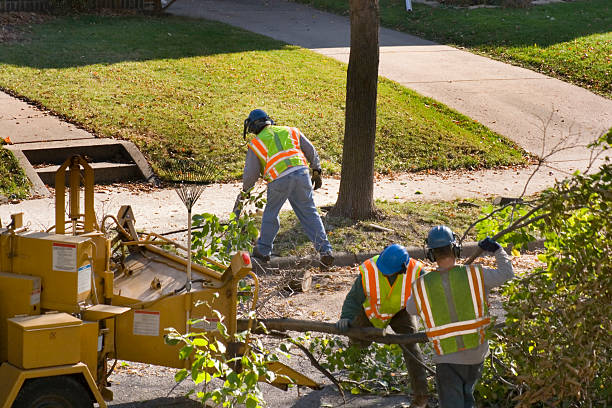 Lawn Watering Services in Garner, IA